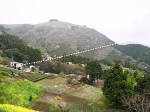 大野山の神縄断層