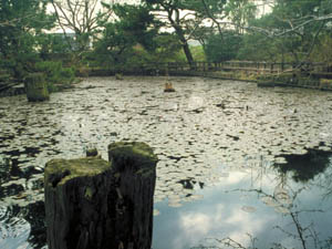 旧相模川橋脚