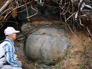 巨大なタマネギ石