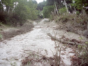 花崗岩類のマサ化