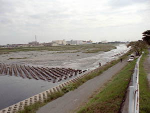 酒匂川下流の景観