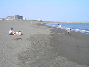 平塚海岸の景観