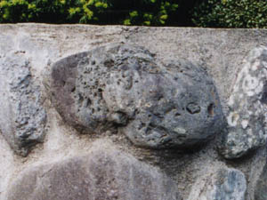 カネハラヒオウギを含む凝灰岩の礫