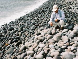 真鶴ゴロタのとれる海岸