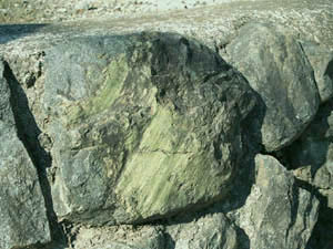 緑簾石の断層鏡肌を持つ礫