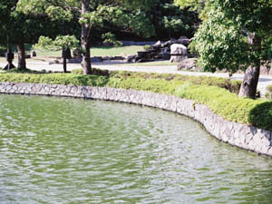 池の周りの小松石