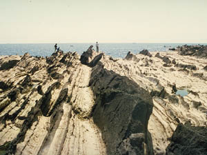 荒崎の三崎層