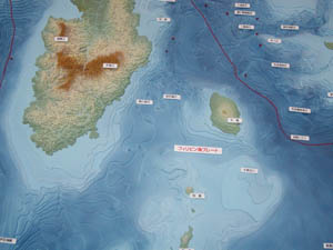 大島付近の海底地形