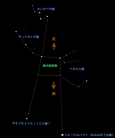 図：四辺形から見つける