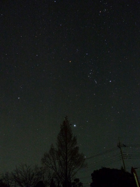 おうし座の写真11月15日