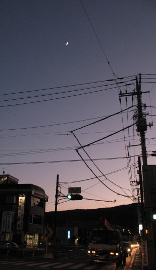 大雄山参道にかかる月