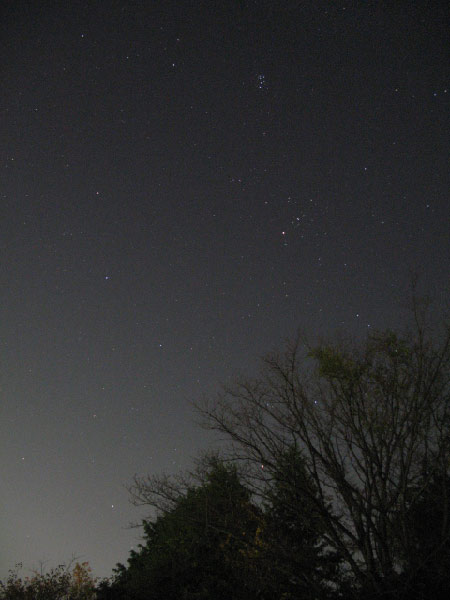 おうし座の写真11月15日