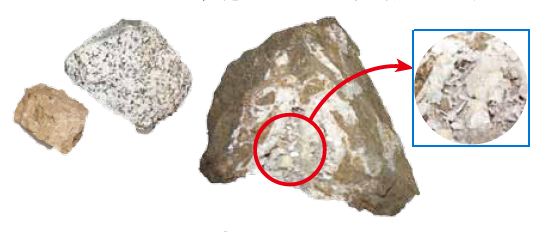丹沢層群の化石と岩石と鉱物