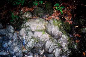 早戸川に見られる枕状溶岩