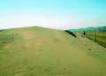 風紋の見られる平塚の砂丘
