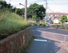 中央の森が川除稲荷