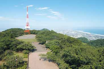 湘南平の山頂