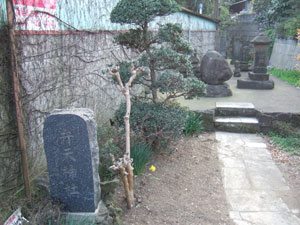 庚申塔や道祖神が並ぶ弁天社