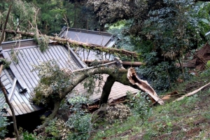 台風一過