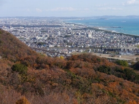 湘南平テレビ塔より