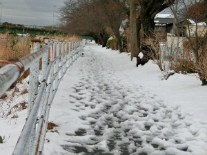 花水川サイクリングロード