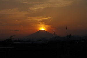 3月25日　平塚市北豊田