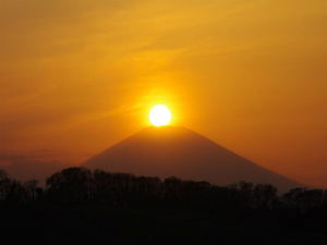 4月1日　平塚市日向岡