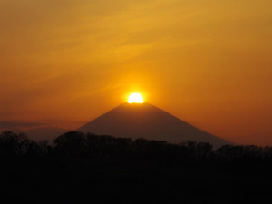 4月1日　平塚市日向岡