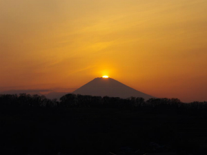 4月1日　平塚市日向岡