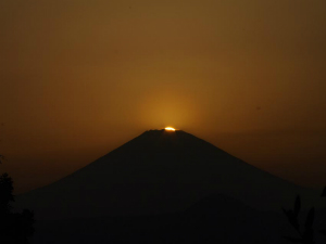 4月15日　中井町曽我山