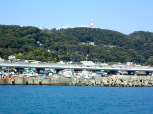 湘南平と大磯港