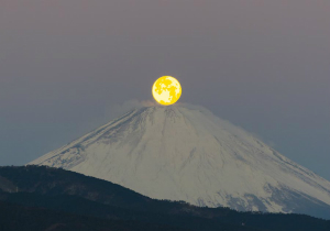 パール富士