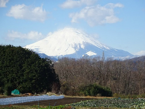 富士山