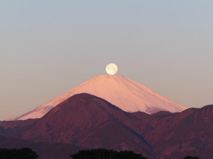 酒匂川より