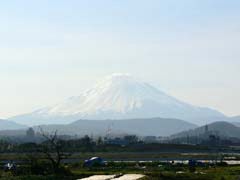 富士山