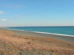 こゆるぎ浜全景