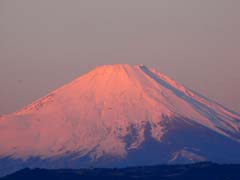 朝日に染まる富士２