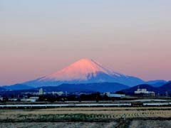 朝日に染まる富士１