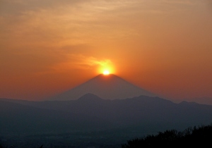 大井町赤田