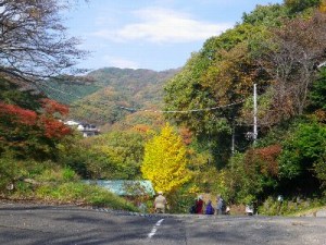 こま山の紅葉