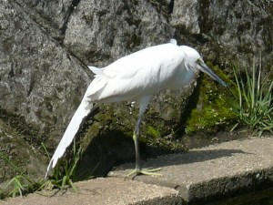伸び　その１