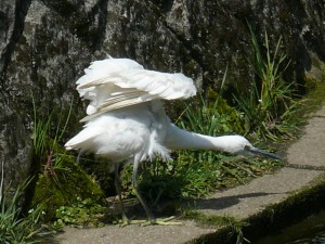 伸び　その２