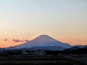 11年1月31日